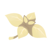 Pokestar - Serious Mints in Legends: Z-A